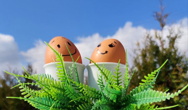 Opowieść świąteczna o jajkach, miłości, szansach i tym, że życie jest za krótkie, by je odkładać na później.