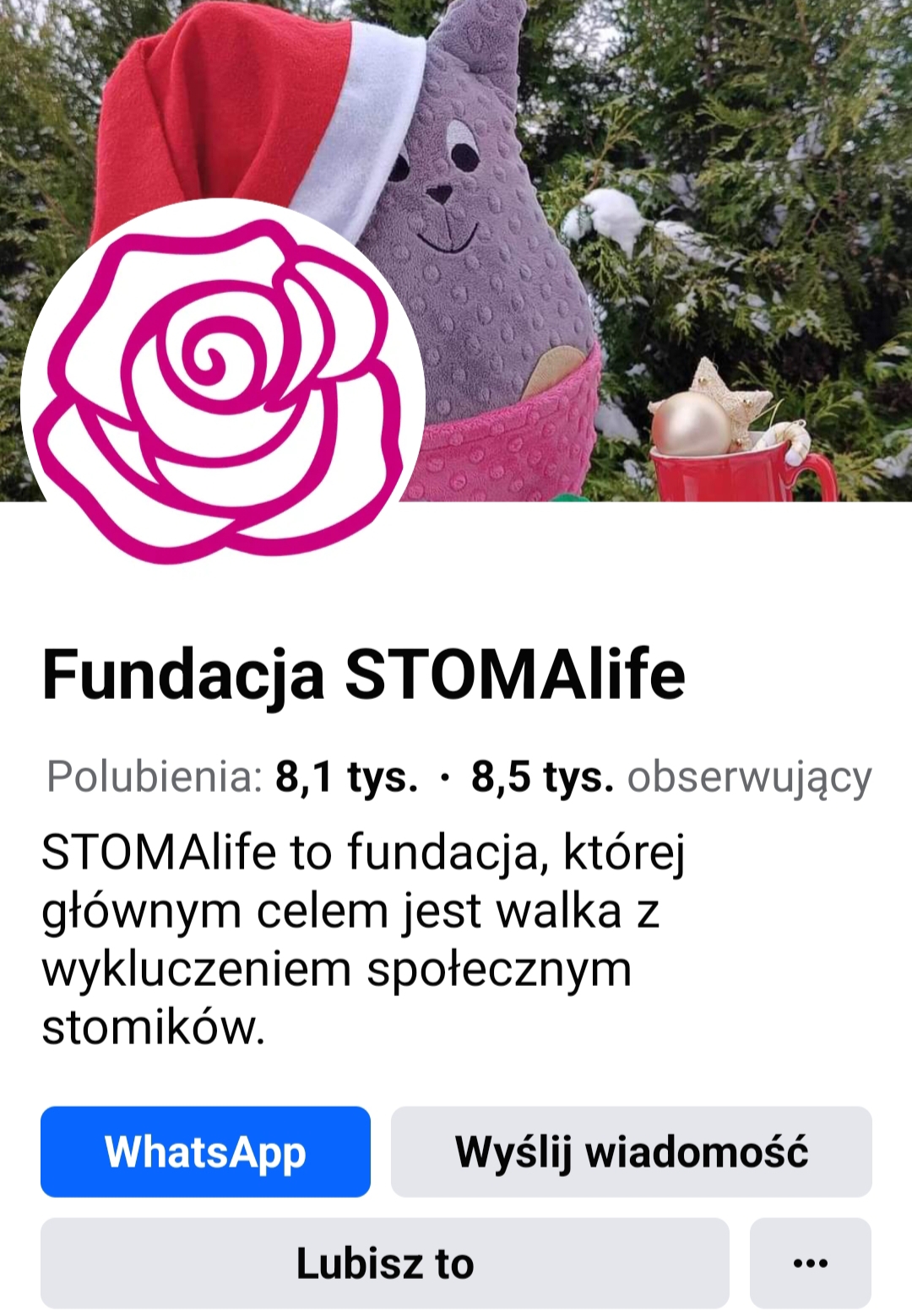 e-stomia-4.jpg