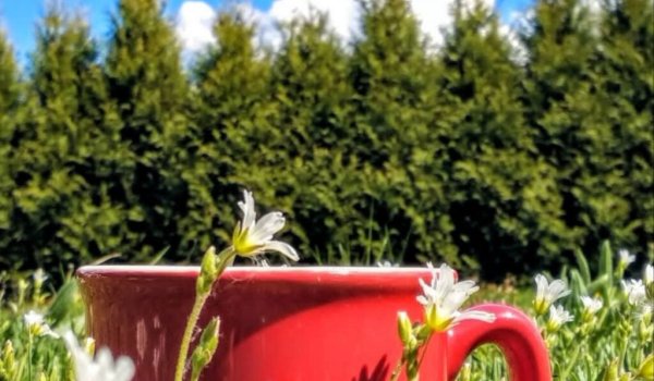 Wiosna pod presją. Radość, czas start!