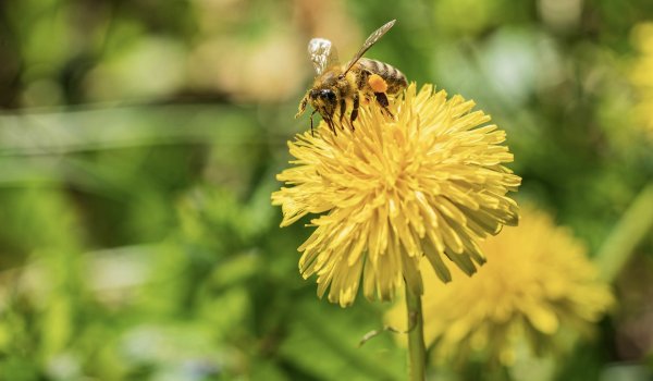 Halo, wiosna! Co z Tobą?