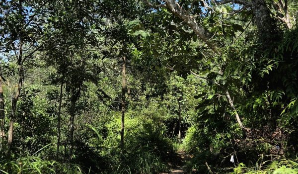 GPS potrzebny od zaraz