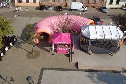 Grubas w Płocku edukacja, emocje i ogromna dawka energii!