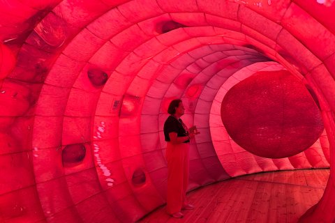 "Grubas" 3D w Tarczynie - profilaktyka w sercu Białego Miasteczka