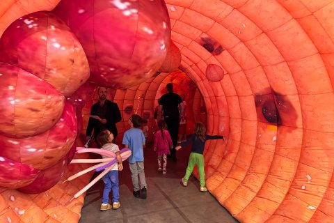 Grubas 3D na Targach Lublin edukacja zdrowotna w centrum XXI Lubelskiego Festiwalu Nauki