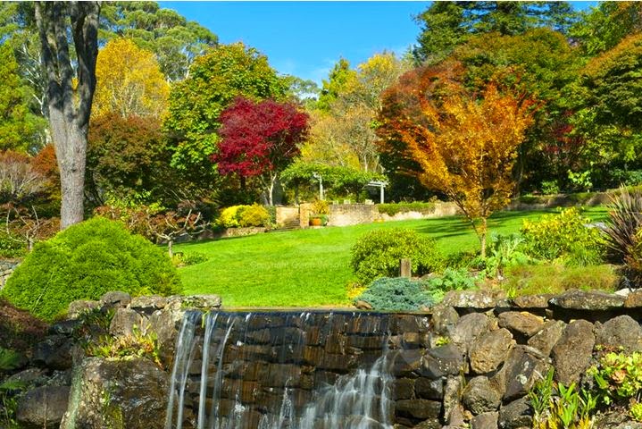 windyridge garde.JPG