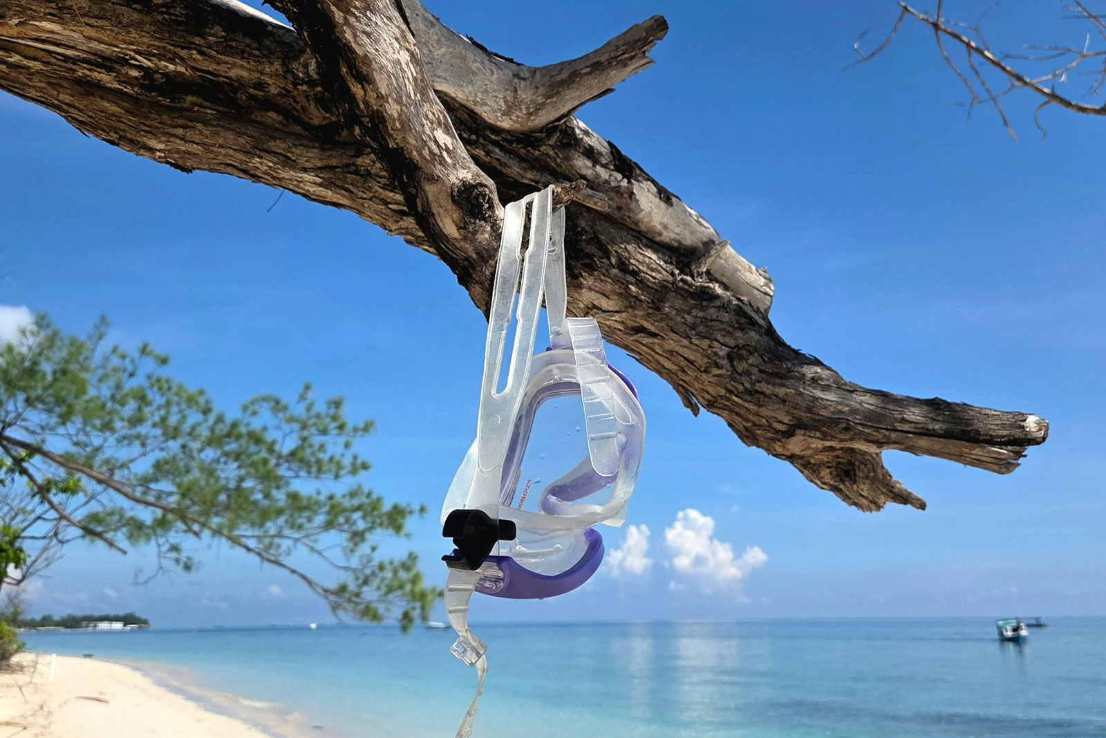 stomik-i-snorkeling-4.jpg