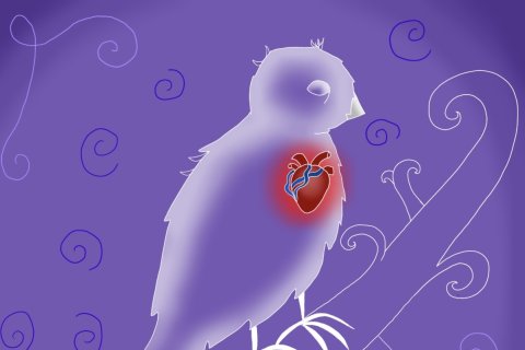 Co można zrobić, żeby życie było dla nas lżejsze i przyjemniejsze?