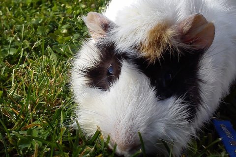 Ewelina Zach: Ból straty