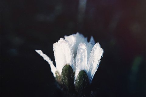 Ewelina Zach: Dotyk a NIE...