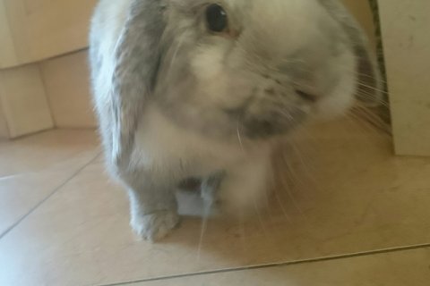 Ewelina Zach: Nowy futrzany lokator