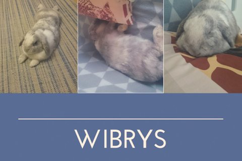 Ewelina Zach: Jest zabawaaa