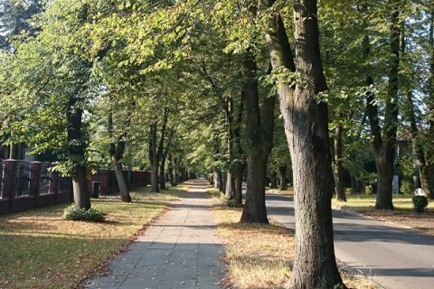 Ewelina Zach: Porannie