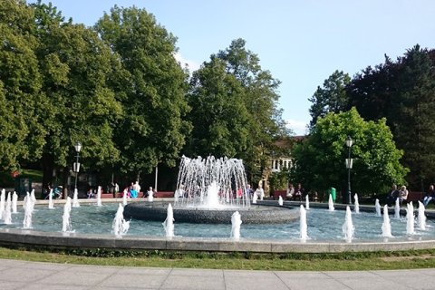 Ewelina Zach: Krynica