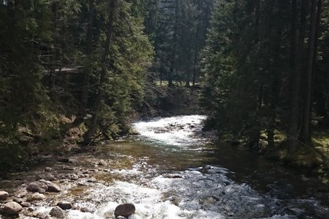 Ewelina Zach: Falstart