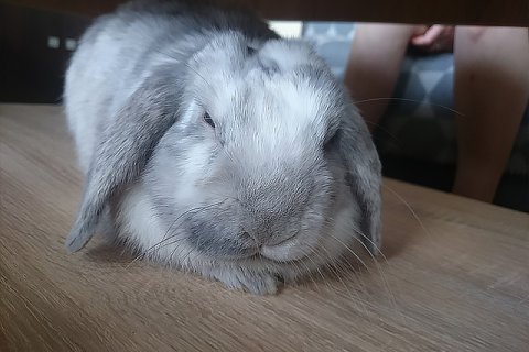 Ewelina Zach: Życie jest fajne