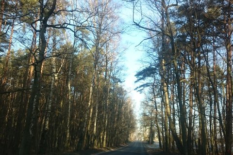 Ewelina Zach: Nie należy bać się zakrętów na drodze