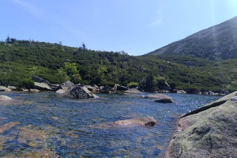 IMG-20260725-WA0017.jpg