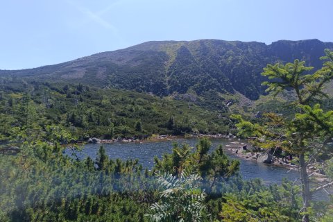 IMG-20260725-WA0013.jpg