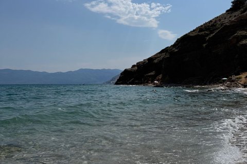 image9.jpg