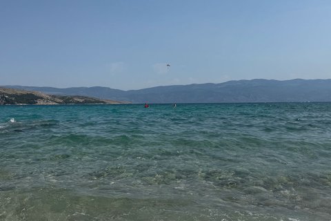 image8.jpg