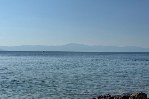 image5.jpg