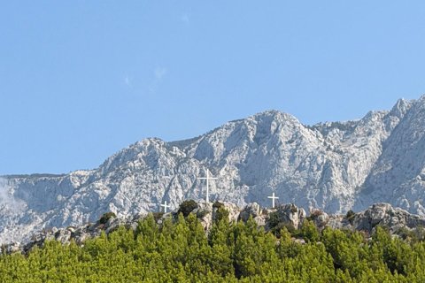 image6.jpg