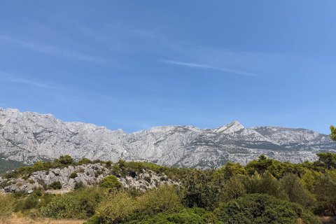 image12.jpg