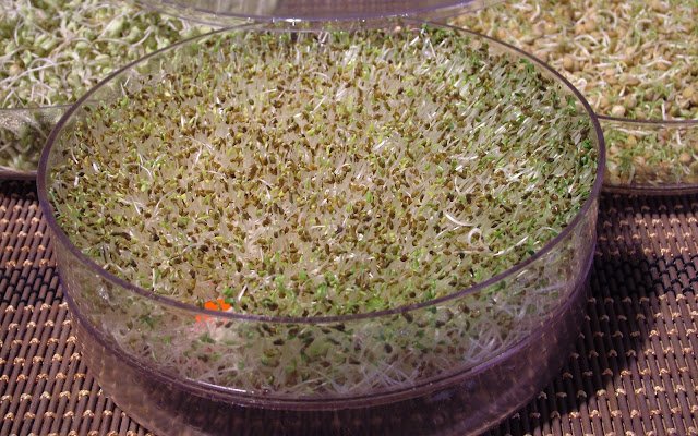 Kwiryn Buzalski: Na zdrowie!