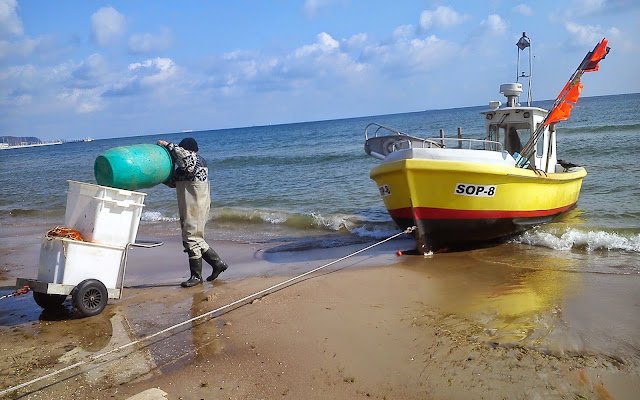 Bałtycka ryba w egzotycznym wydaniu