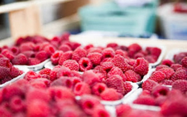 Malinowa racuchowa przygoda