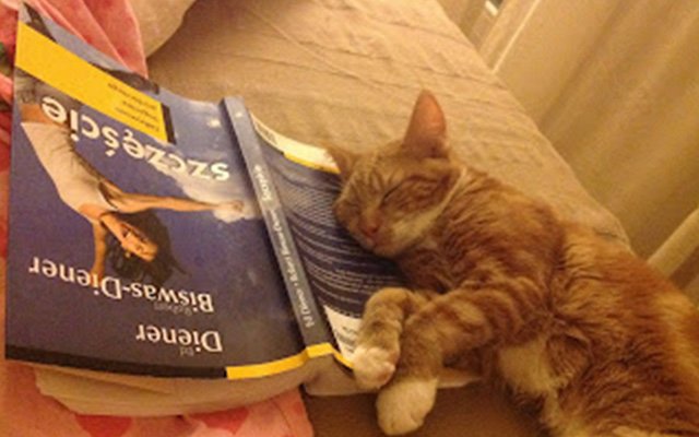 Literacko-naukowa podróż przez Szczęście