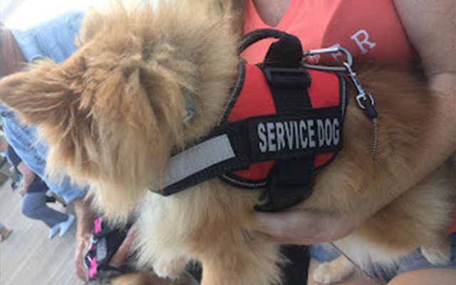 Niepełnosprawni w Ameryce